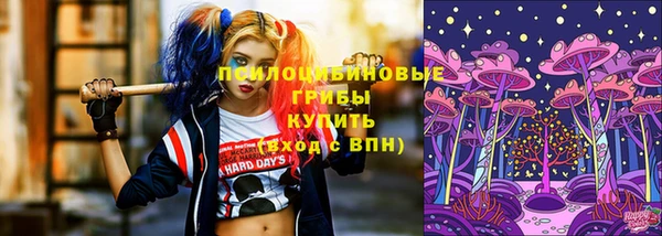 ПСИЛОЦИБИНОВЫЕ ГРИБЫ Белокуриха