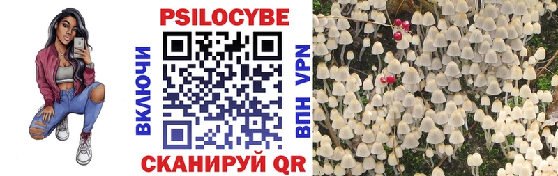 Купить Шумерля Галлюциногенные грибы прущие грибы